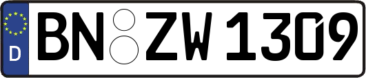 BN-ZW1309