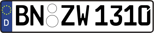 BN-ZW1310
