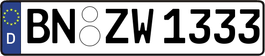 BN-ZW1333