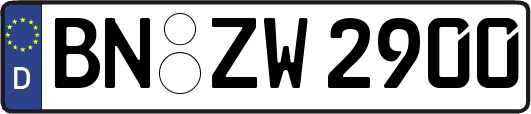 BN-ZW2900