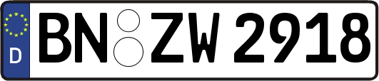BN-ZW2918