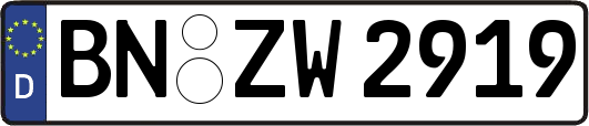 BN-ZW2919