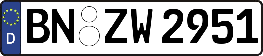 BN-ZW2951