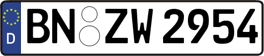BN-ZW2954