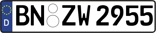 BN-ZW2955