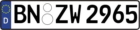 BN-ZW2965