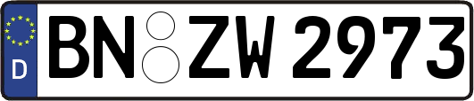 BN-ZW2973