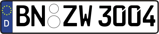 BN-ZW3004