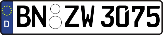 BN-ZW3075