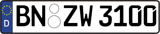 BN-ZW3100