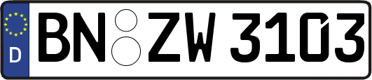 BN-ZW3103