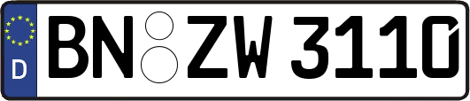 BN-ZW3110