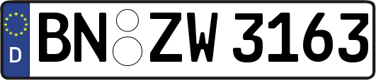 BN-ZW3163