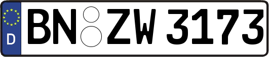 BN-ZW3173