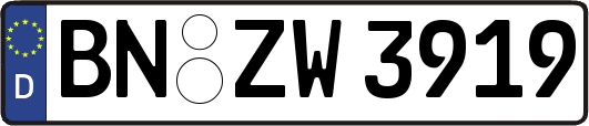 BN-ZW3919