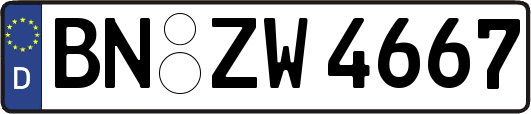 BN-ZW4667