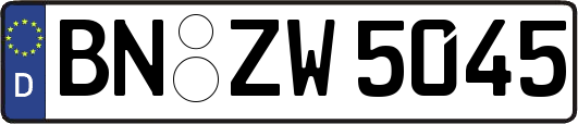 BN-ZW5045