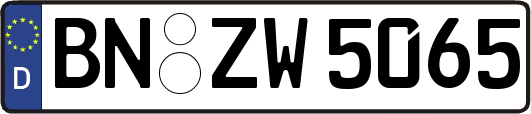BN-ZW5065