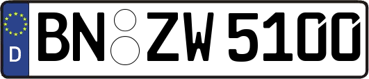 BN-ZW5100