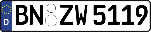 BN-ZW5119