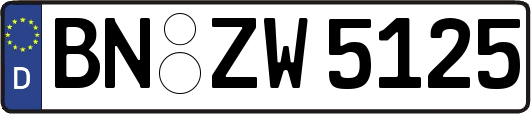 BN-ZW5125