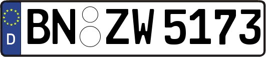 BN-ZW5173