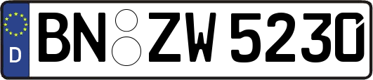 BN-ZW5230