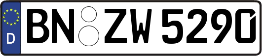 BN-ZW5290