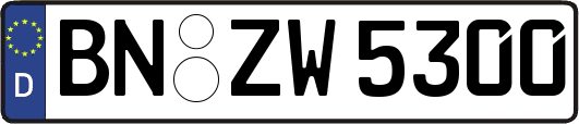 BN-ZW5300