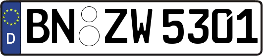 BN-ZW5301