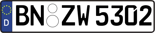 BN-ZW5302