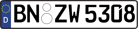 BN-ZW5308