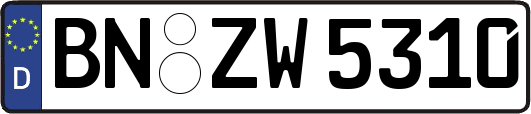 BN-ZW5310