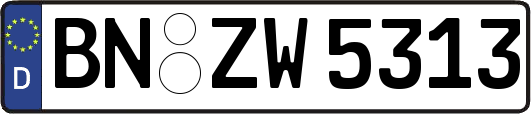BN-ZW5313