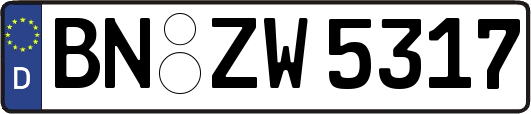 BN-ZW5317