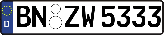 BN-ZW5333