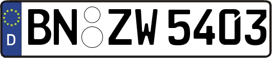 BN-ZW5403