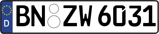 BN-ZW6031