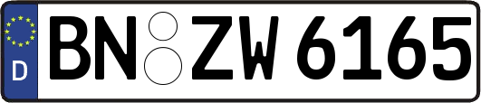 BN-ZW6165