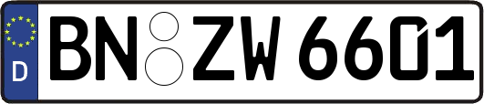 BN-ZW6601