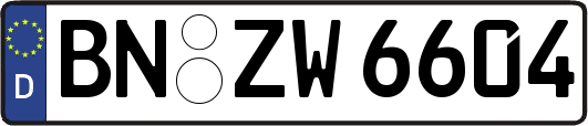 BN-ZW6604