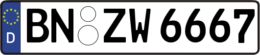 BN-ZW6667