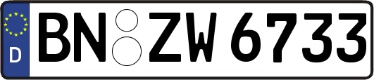 BN-ZW6733