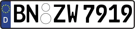 BN-ZW7919