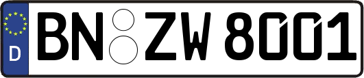 BN-ZW8001