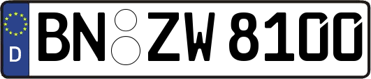 BN-ZW8100