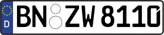 BN-ZW8110