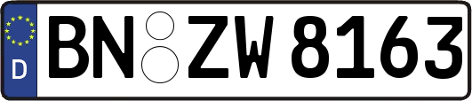 BN-ZW8163