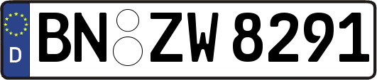 BN-ZW8291