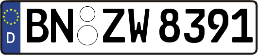 BN-ZW8391